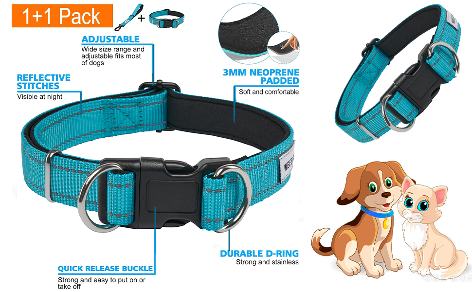 Reflective Dog Leash with Adjustable Collar – Durable Short Nylon Lead with Padded Handle & Neoprene Lining for Medium and Large Dogs