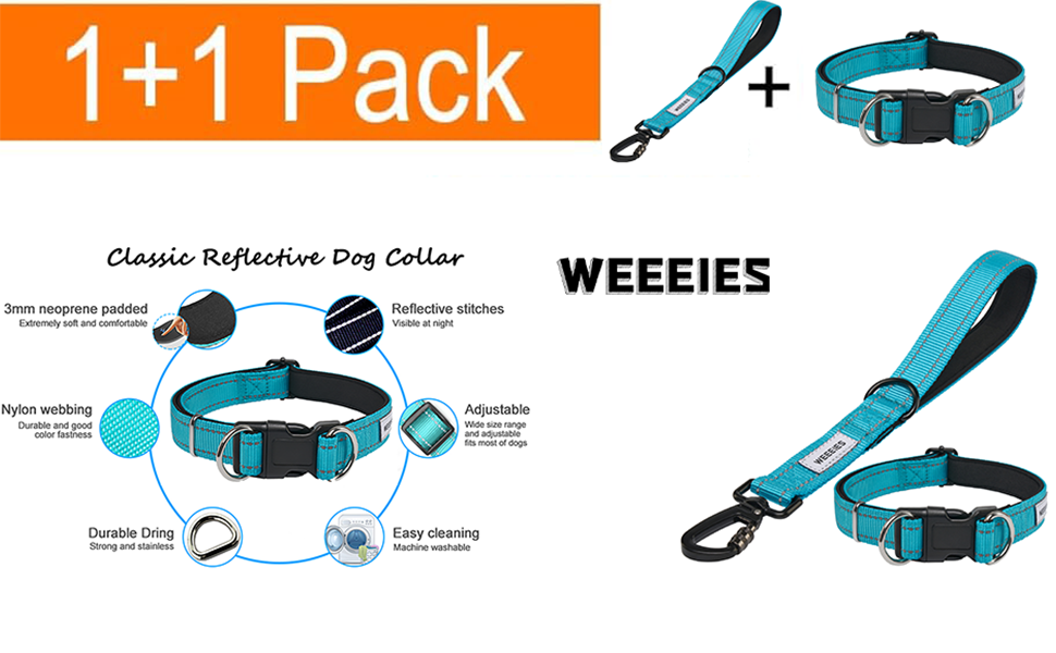 Reflective Dog Leash with Adjustable Collar – Durable Short Nylon Lead with Padded Handle & Neoprene Lining for Medium and Large Dogs